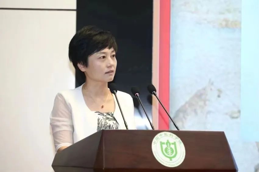 北京市等部委以上的课题28项